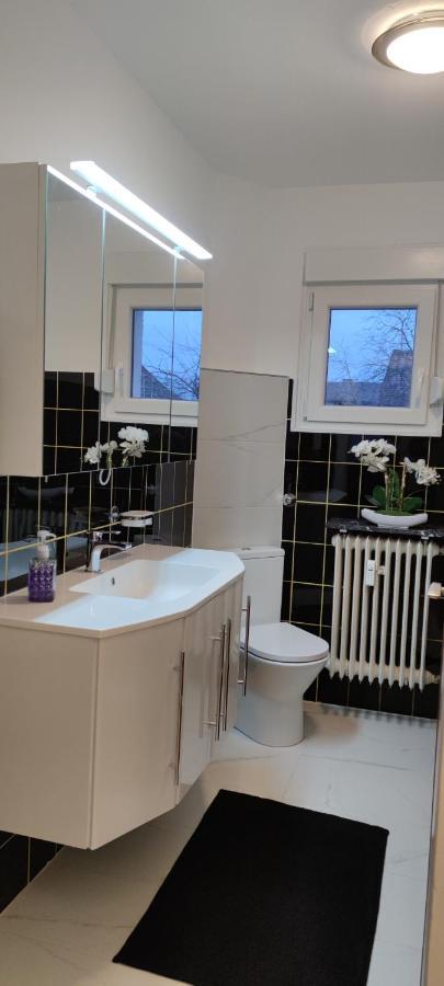 Schoene Und Optimal Gelegene Wohnung Og Weisskirchen Exteriér fotografie